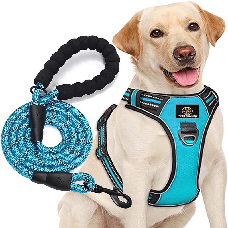 Benutzerdefinierte Hundeweste Reflektierende Nylon Große Schnalle Umkehrbare Hundegeschirr mit Leine